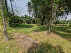 Land for Sale - Diulapitiya (Muddaragama-Kappetiwalana)