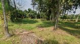 Land for Sale - Diulapitiya (Muddaragama-Kappetiwalana)