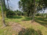Land for Sale - Diulapitiya (Muddaragama-Kappetiwalana)