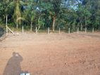 Land for sale - Diulapitiya Ullalapola