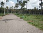 Land for Sale - Divulapitiya