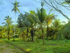 Land for Sale Divulapitiya