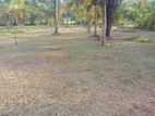 Land for sale divulapitiya