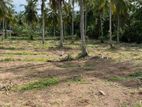 Land for Sale Divulapitiya