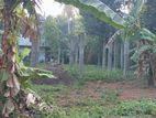 Land for Sale Divulapitiya