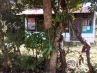 Land For Sale - Divulapitiya