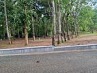 Land for Sale Divulapitiya