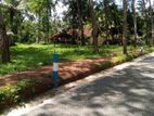 land for sale Divulapitiya