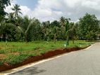 land for sale Divulapitiya