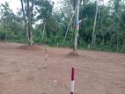 Land for Sale Divuldeniya