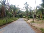 Land for Sale දිවුලපිටිය