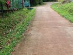 Land for Sale - දඹදෙණිය