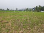 Land for Sale දඹුල්ල