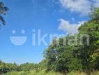 Land For Sale - දඹුල්ලෙන් ඉඩමක් විකිණීමට