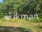 Land For Sale - දඹුල්ලෙන් ඉඩමක් විකිණීමට
