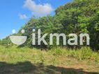 Land For Sale - දඹුල්ලෙන් ඉඩමක් විකිණීමට