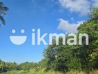 Land For Sale - දඹුල්ලෙන් ඉඩමක් විකිණීමට