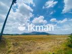 Land For Sale - දඹුල්ලෙන් ඉඩමක් විකිණීමට (කණ්ඩලම පාර දඹුල්ල)