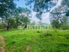 Land For Sale - දඹුල්ලෙන් ඉඩමක් විකිණීමට (කණ්ඩලම පාර දඹුල්ල)