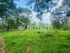 Land For Sale - දඹුල්ලෙන් ඉඩමක් විකිණීමට (කණ්ඩලම පාර දඹුල්ල)
