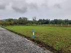 Land for Sale දඹූල්ල