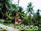 Land for sale Dodamgoda