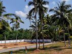 Land For Sale - Dodangoda