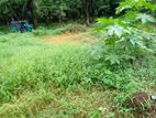 Land for Sale – Dompe (Kahatagahawatta)