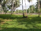 Land for Sale Dunagaha - Batepola