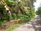 Land For Sale Dungalpitiya Negombo Gampaha