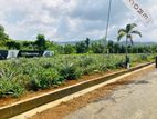 Land for Sale Eheliyagoda