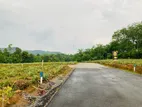 Land for Sale Eheliyagoda