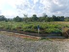 Land for sale Eheliyagoda