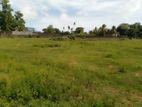 Land for Sale - Ekala (EM1299)