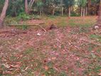 Land for Sale Ekala