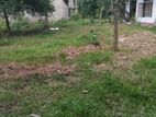 Land For Sale Ekala