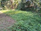 Land for Sale – Eldeniya (Near Colombo–Kandy Road)