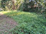 Land for Sale – Eldeniya (Near Colombo–Kandy Road)