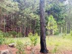Land for Sale Ella