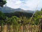 Land For Sale Ella Sri Lanka