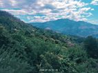 Land for Sale Ella
