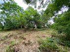 Land for Sale Polgasowita