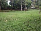Land for Sale Epitawala