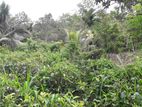 Land for sale ethgala Gampola