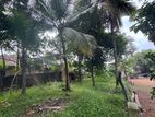 Land for Sale Ethul Kotte