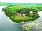 Land for Sale Facing Bolgoda Lake Wadduwa