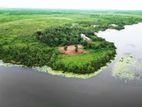 Land for Sale Facing Bolgoda Lake Wadduwa