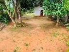 Land for Sale Facing Ethabediwewa Road, Galewela