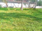 Land for Sale Facing Kandy Road Yakkala Y4