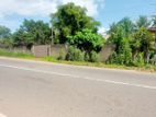 Land for Sale Facing New Kandy Road, Delgoda, Naranwala ( Id : Wa29 )